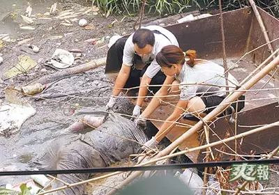 關於&quot;屍氣&quot;的一點點科普，不喜慎入
