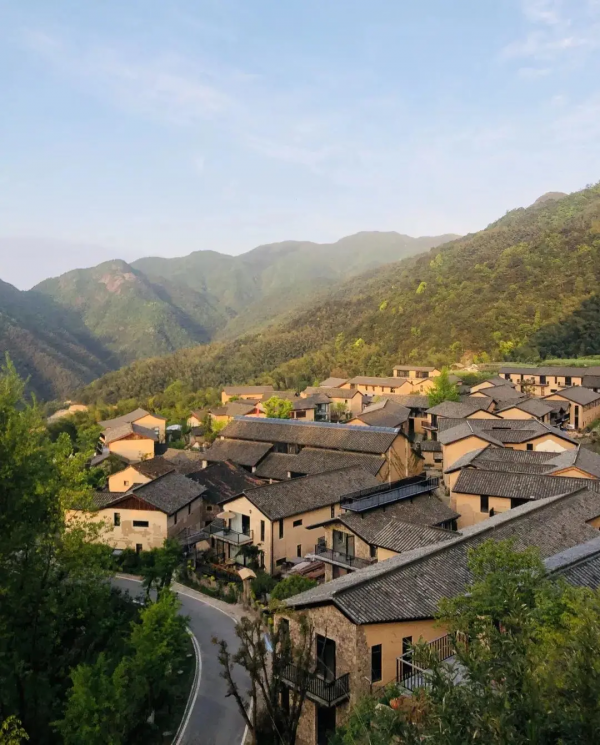 700年神秘古村落意外走紅！霧海竹林萬畝，24h鮮氧環繞，宛若仙境
