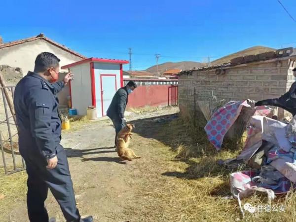 柯曲派出所開展流浪犬專項整治行動