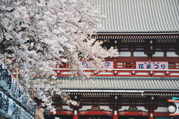 有誰聽說過卒婚?長見識了 有誰聽說過卒婚?長見識了