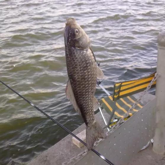 寒冬釣魚，我們釣友需要這樣做，才能避免空軍