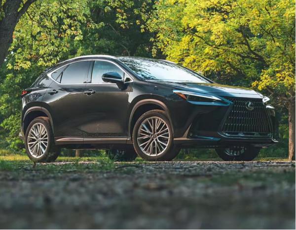 凱迪拉克LYRIQ、雷克薩斯NX,廣州車展不容錯過的十款豪華新車 凱迪拉克LYRIQ、雷克薩斯NX,廣州車展不容錯過的十款豪華新車