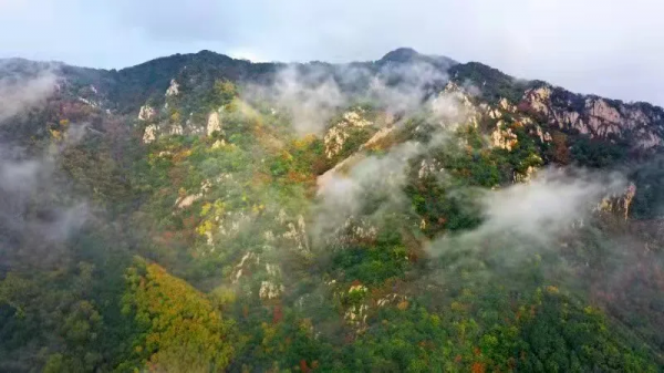 ​十月的喇叭溝彩葉漫山溪水潺潺美翻啦! ​十月的喇叭溝彩葉漫山溪水潺潺美翻啦!