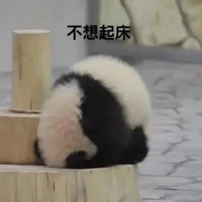 科普文山｜晚上睡不著早上起不來，原來我患上了睡眠時相延遲綜合徵