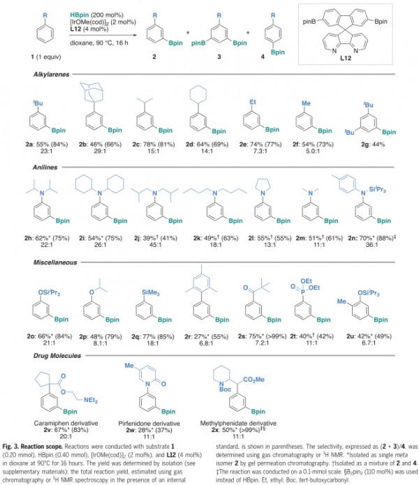 芳烴無定向間位選擇C-H活化的遠端空間控制