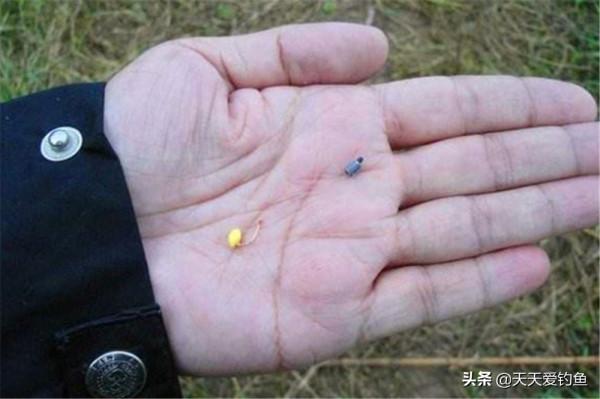 野釣大鯽魚，用餌料來命名的釣法只有這兩種，秋釣鯽魚最強方法