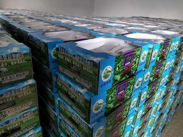 江蘇一農民種植成功“徐紫薯8號”畝產值4000斤