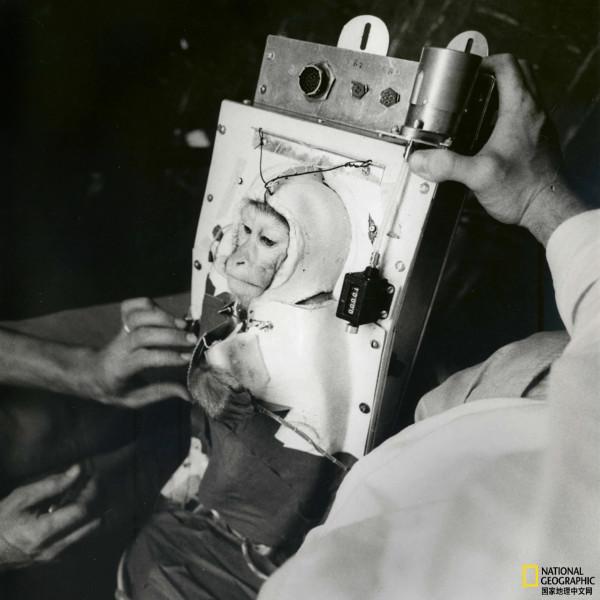 那些年,我們送上太空的動物 那些年,我們送上太空的動物