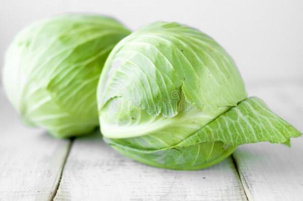 養生可以吃哪些食物？一起看一下