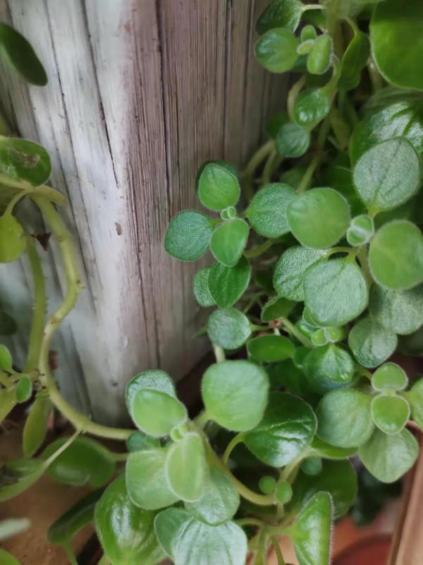 修行日誌12~你有多久沒用眼睛看到過這世界？