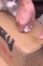 眼力測試！如果你從圖中看到的是一群人，那趕緊去看醫生吧