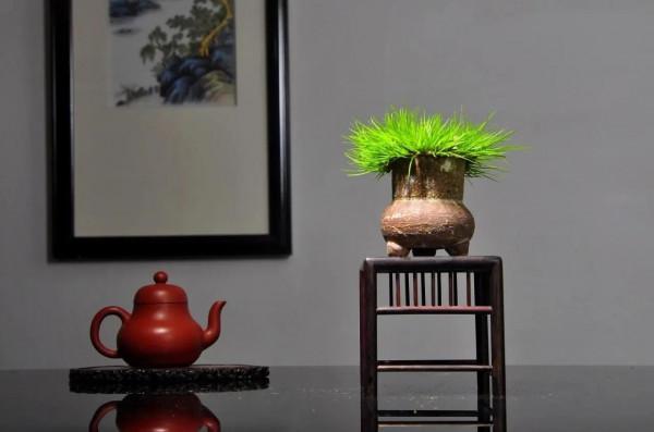 青青草一一感悟生活系列小詩