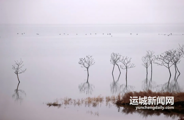 影像｜霧漫鹽湖似水墨