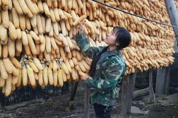 320塊的新合療，為何讓農民們這般糾結