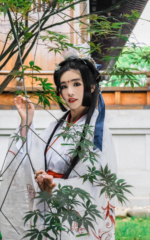 我心中的詩經——園有桃 我心中的詩經——園有桃