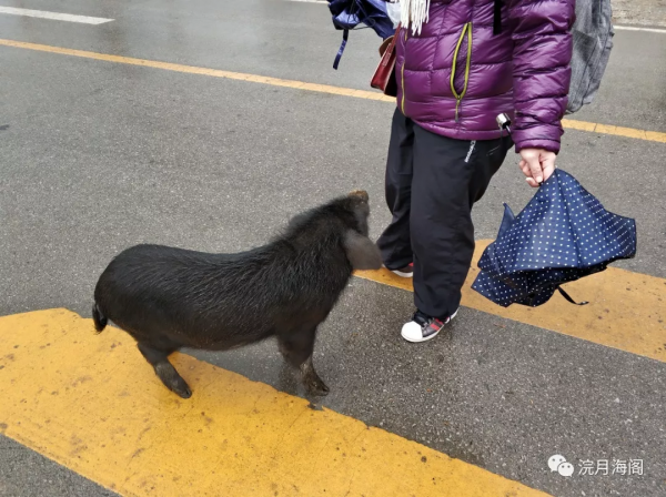 吃貨的彩雲之南——實拍篇 吃貨的彩雲之南——實拍篇