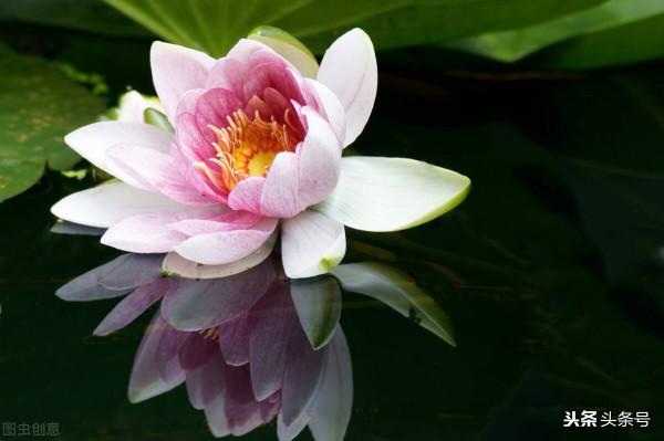 雙魚座9月20號運勢解讀