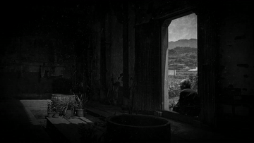 《國家相簿》:歸來喲,歸來 《國家相簿》:歸來喲,歸來