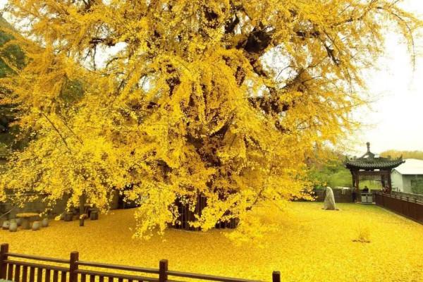 人到中年後,什麼是最重要的? 人到中年後,什麼是最重要的?