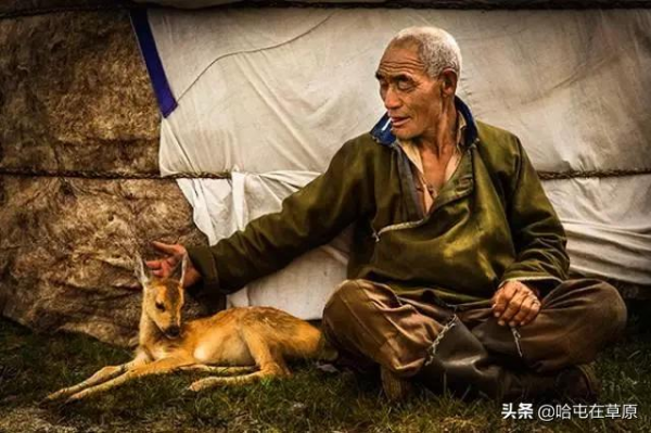 淺析蒙古族原始形態之清末教育發展歷程