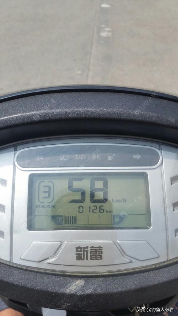 野釣搞遊擊，第一竿中魚，驚喜又刺激