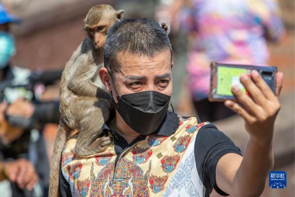 泰國華富里：“猴哥”享用自助餐