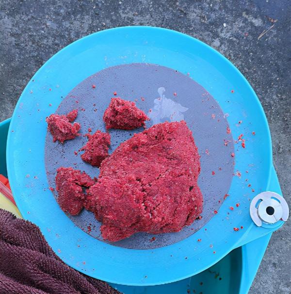 自古深情留不住、唯有套路得人心--冬釣鯽魚靠技術，更要靠“套路