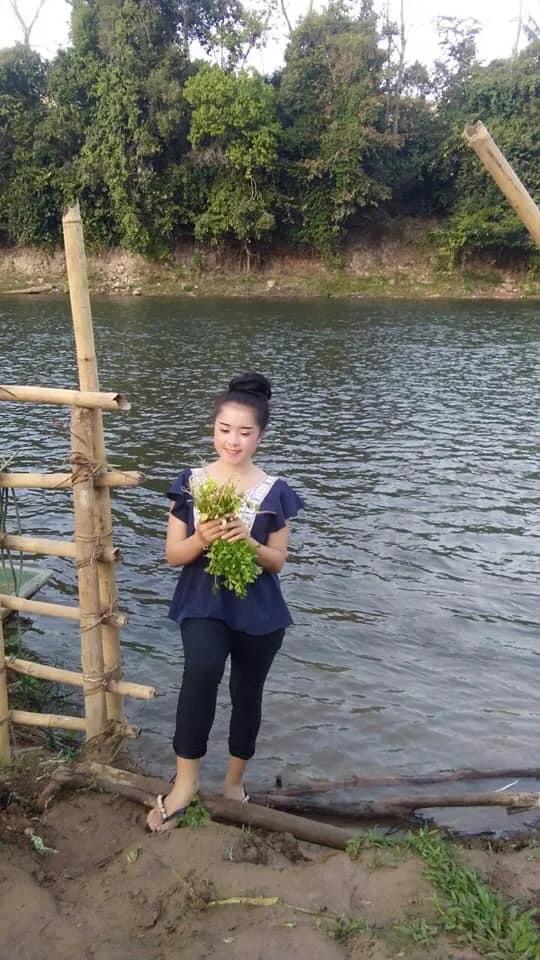 寮國田園是多麼的美