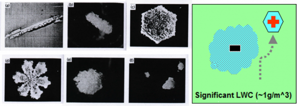 什麼是雷暴?你害怕的雷暴其實也是地球的功臣 什麼是雷暴?你害怕的雷暴其實也是地球的功臣