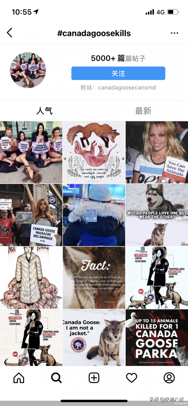 一件羽絨服上萬元！“加拿大鵝”裡面裝的全是鴨絨？網友：改叫“加拿大鴨”吧