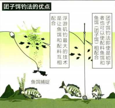 「 日本專業磯釣書籍 」糰子餌釣法，初學者最佳磯釣釣技