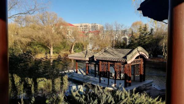 玉淵潭東湖溼地，一個只接待20人的神秘溼地公園