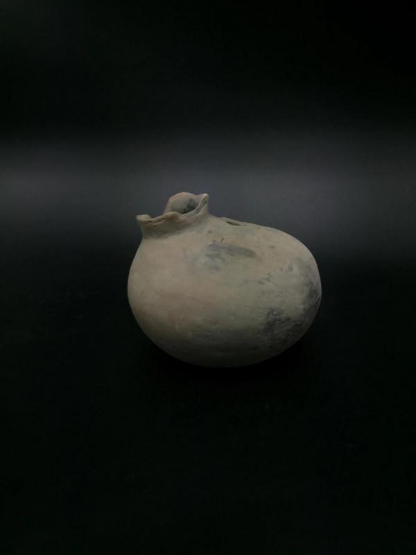 鴨子，身披落霞飛到尋常百姓家