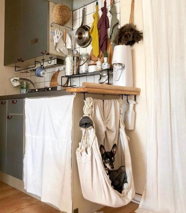 獨居6年！一人獨居有狗相伴，家居佈置得簡單精緻，太羨慕了