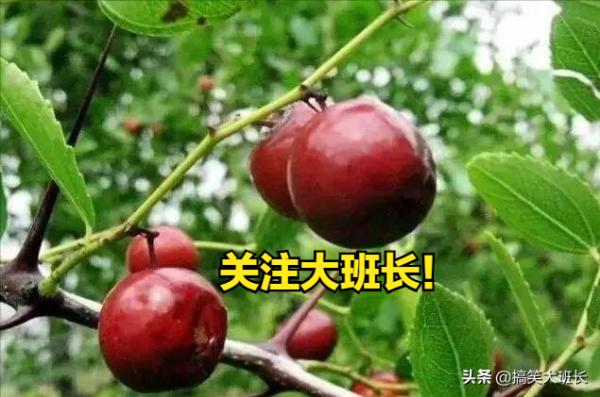 那些炒火了的文玩，買回來就涼涼了，說多了都是眼淚恨不得剁手