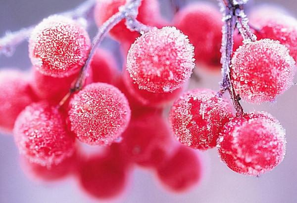 睡覺前發朋友圈的經典語句