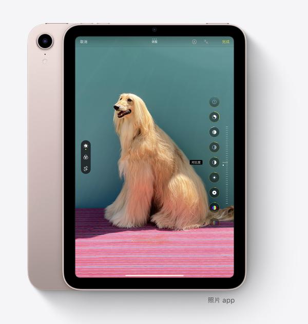 蘋果釋出會隱藏的黑馬ipad mini