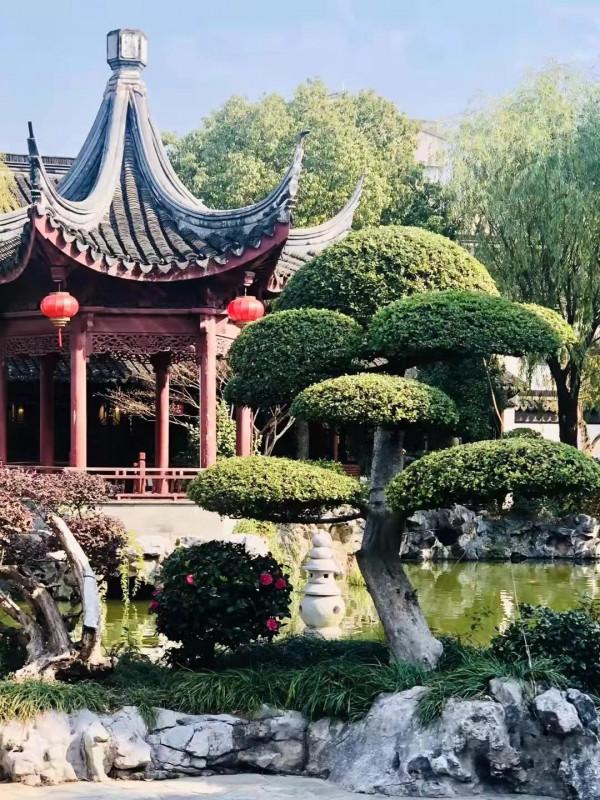 南翔時光（一）“古韻南翔”