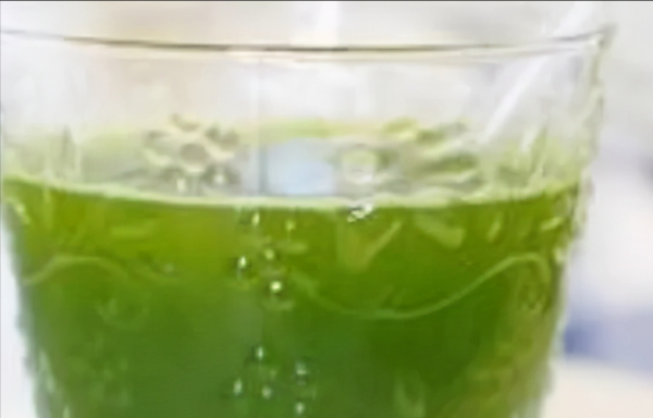 肺不好的人要注意，這4種食物生活中多吃，或助你清除體內毒素