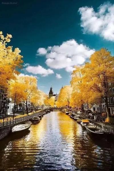 世界很大，風景很美，而你卻不是那個想走就走的人