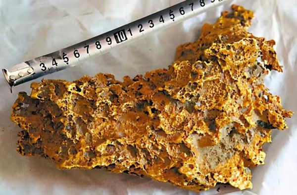 男子燒炭撿到的狗頭金，為何價值千萬？狗頭金是什麼？有多稀有？