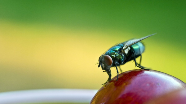 時間真的存在嗎？為什麼年齡越大感覺時間過得越快？