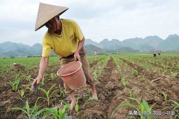 哪些肥料混用後容易&OpenCurlyDoubleQuote;起衝突&rdquo;，哪些肥料混用後能做&OpenCurlyDoubleQuote;好朋友&rdquo;？