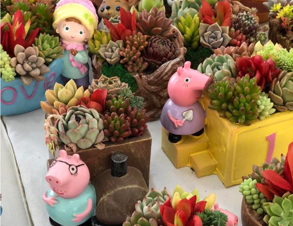 天熱施肥需小心,分清3點再施肥,輕鬆避免肥害損傷 天熱施肥需小心,分清3點再施肥,輕鬆避免肥害損傷