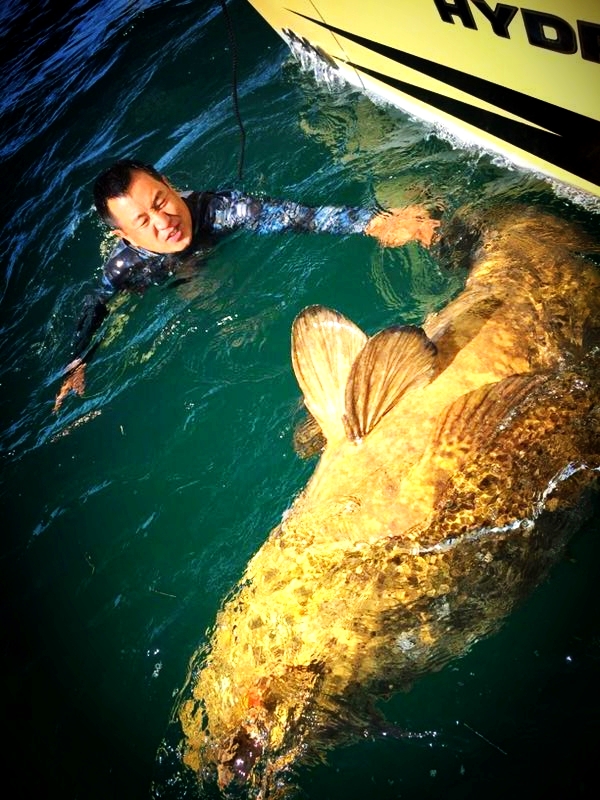 海釣誤中大白鯊必須摘鉤放生?來,鉗子給你,你來摘 海釣誤中大白鯊必須摘鉤放生?來,鉗子給你,你來摘