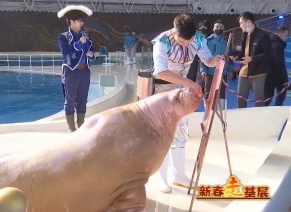 福虎迎春&CenterDot;熱鬧福丨海洋動物鬧新春