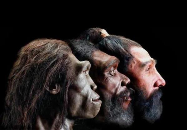 人類起源於恐龍嗎？