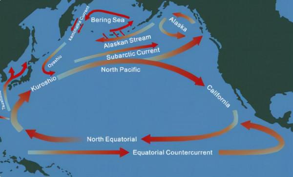 “躬匠精神”？核事故下日本盡失擔當，蘇聯彰顯大國風範