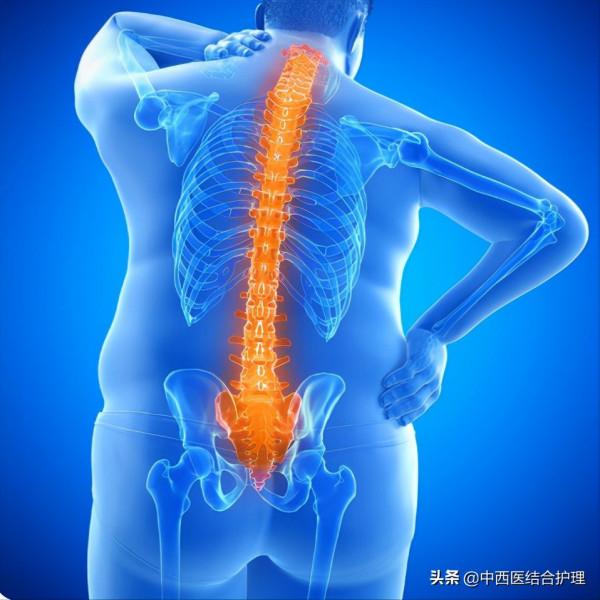 「腰部保健小課堂」腰間盤突出症不花錢、最簡單的治療方式