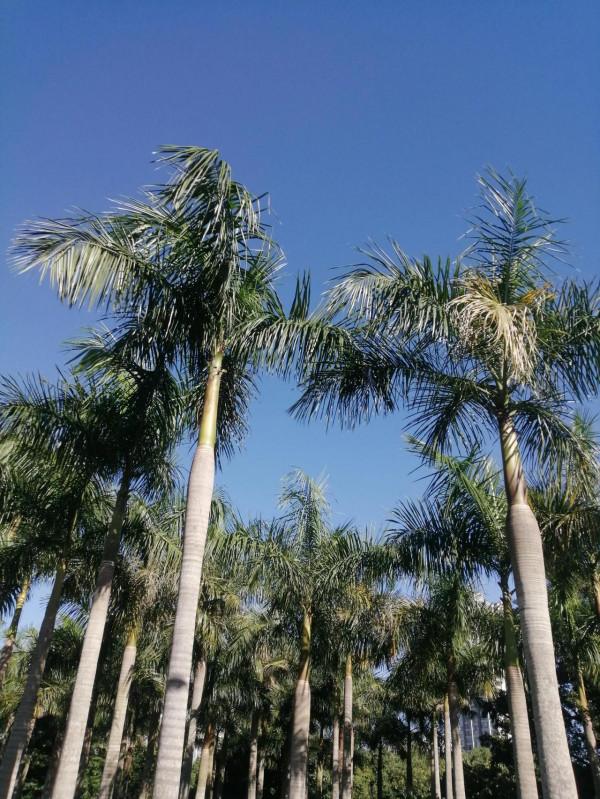 沒見過世面的人，總對別人的事操心過頭